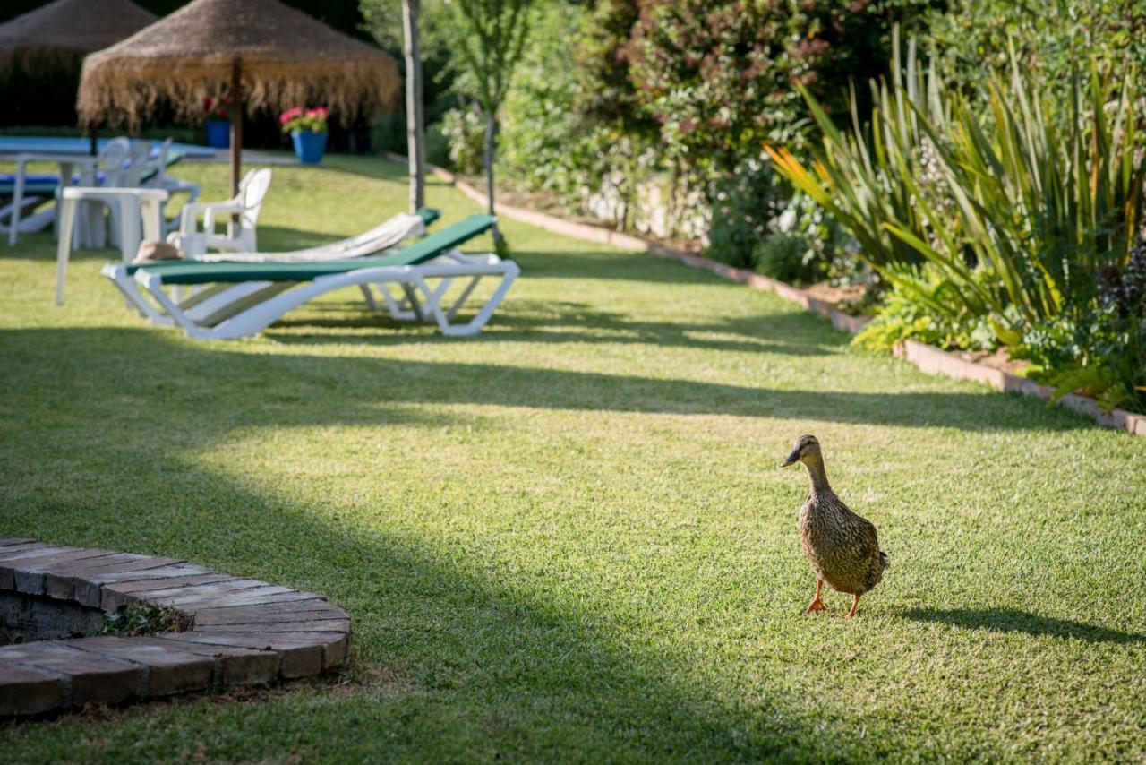 Al Agia - Los Molinos De Padul ภายนอก รูปภาพ